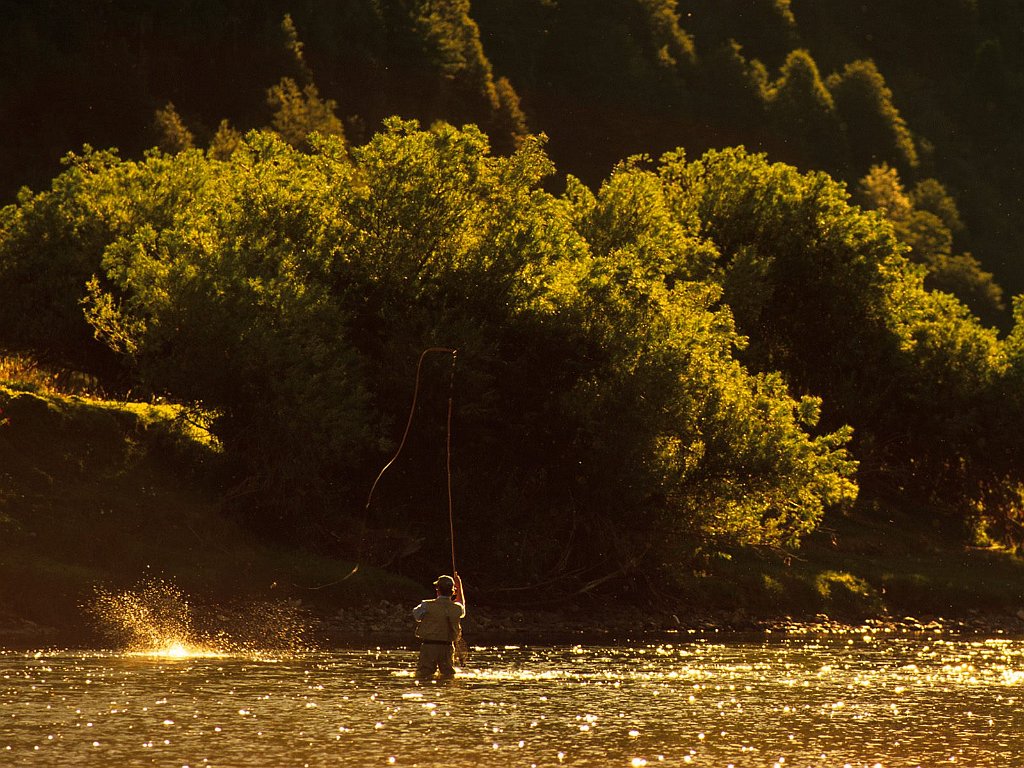 Madison River, Montana